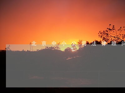 北京中小公司法律顾问