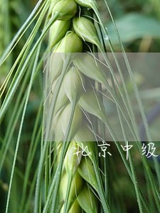 北京中级法院管辖标的 北京中级法院管辖标的