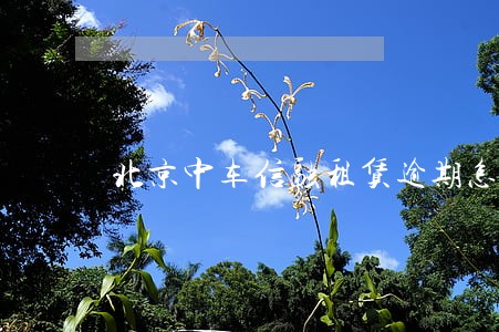 北京中车信融租赁逾期怎么办 北京中车信融租赁逾期怎么办