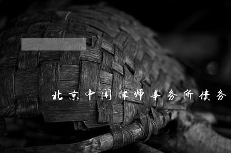 北京中闻律师事务所债务优化 北京中闻律师事务所债务优化