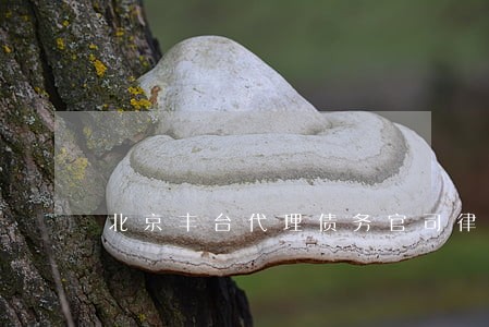 北京丰台代理债务官司律师 北京丰台代理债务官司律师
