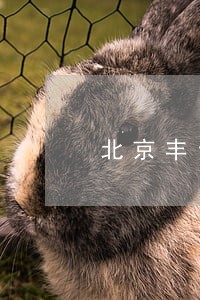 北京丰台债务官司律师电话咨询 北京丰台债务官司律师电话咨询