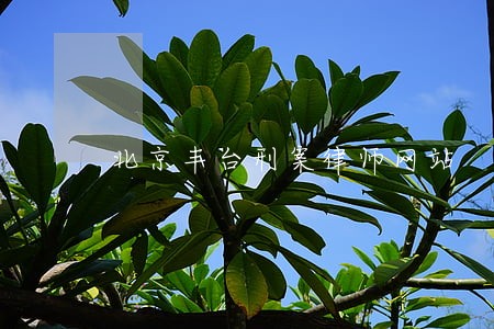 北京丰台刑案律师网站 北京丰台刑案律师网站