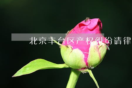 北京丰台区产权纠纷请律师 北京丰台区产权纠纷请律师