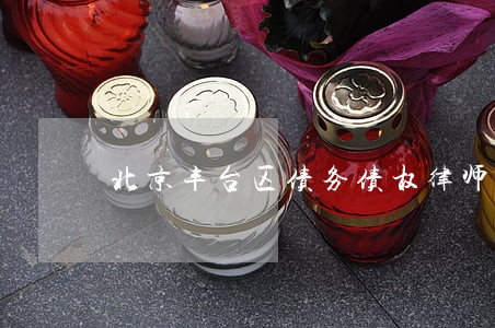 北京丰台区债务债权律师咨询平台 北京丰台区债务债权律师咨询平台