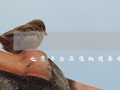 北京丰台区债权债务律师法律咨询 北京丰台区债权债务律师法律咨询