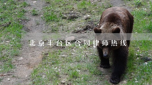 北京丰台区合同律师热线 北京丰台区合同律师热线