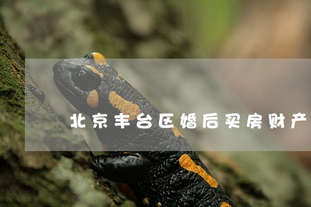 北京丰台区婚后买房财产知名律师
