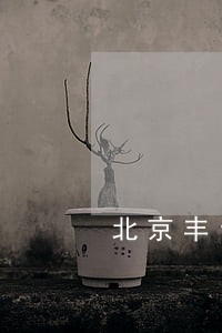 北京丰台区家庭纠纷律师公司 北京丰台区家庭纠纷律师公司