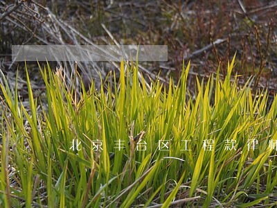 北京丰台区工程款律师哪家好 北京丰台区工程款律师哪家好