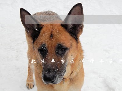 北京丰台区律师事务所丽泽桥 北京丰台区律师事务所丽泽桥