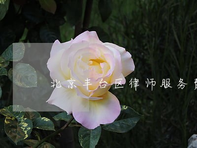 北京丰台区律师服务费用 北京丰台区律师服务费用