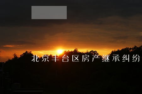 北京丰台区房产继承纠纷律师找谁