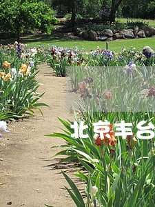 北京丰台区购房违约纠纷律师咨询 北京丰台区购房违约纠纷律师咨询