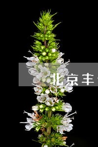 北京丰台合同审查律师事务所 北京丰台合同审查律师事务所