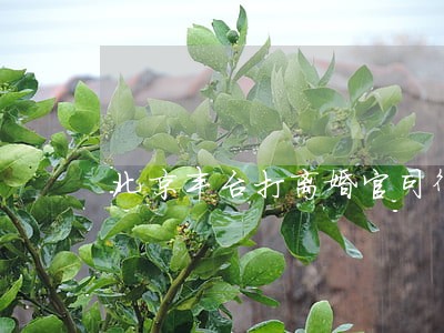 北京丰台打离婚官司律师代理费
