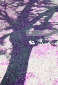 北京丰台欠钱纠纷律师费用咨询