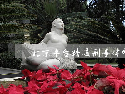 北京丰台精通刑事律师 北京丰台精通刑事律师