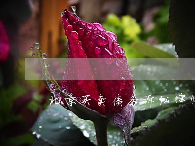 北京买卖债务诉讼律师问题 北京买卖债务诉讼律师问题