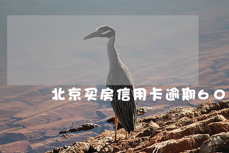 北京买房信用卡逾期60天 北京买房信用卡逾期60天