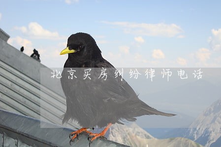北京买房纠纷律师电话 北京买房纠纷律师电话