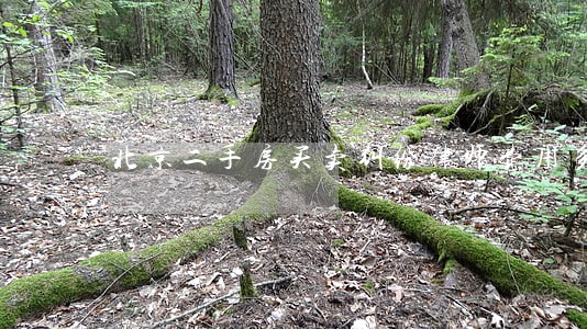 北京二手房买卖纠纷律师费用多少 北京二手房买卖纠纷律师费用多少