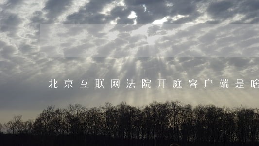 北京互联网法院开庭客户端是啥