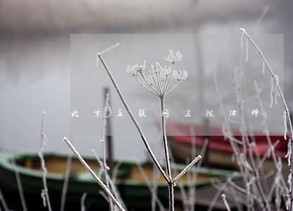 北京互联网法院律师