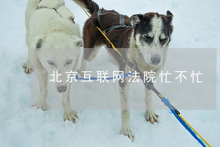 北京互联网法院忙不忙 北京互联网法院忙不忙