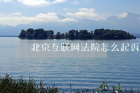 北京互联网法院怎么起诉 北京互联网法院怎么起诉