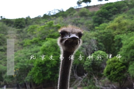 北京交易债务纠纷律师 北京交易债务纠纷律师
