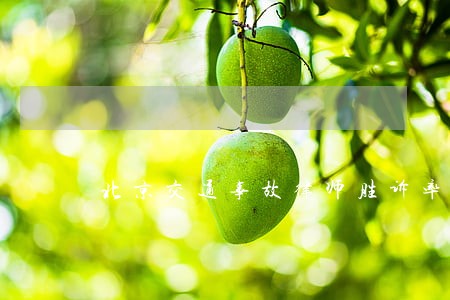 北京交通事故律师胜诉率案件 北京交通事故律师胜诉率案件