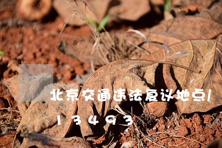 北京交通违法复议地点/2023020413493 北京交通违法复议地点/2023020413493