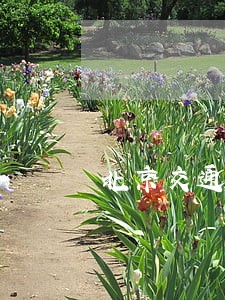 北京交通违法复议电话 北京交通违法复议电话