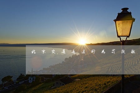 北京交通违法行为罚款缴款书丢了 北京交通违法行为罚款缴款书丢了