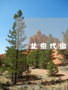 北京代缴社保违法 北京代缴社保违法