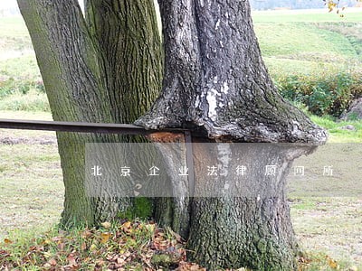 北京企业法律顾问所 北京企业法律顾问所