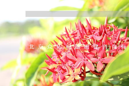 北京众拓和原法律咨询有限公司 北京众拓和原法律咨询有限公司