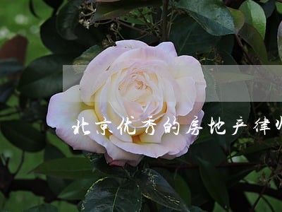 北京优秀的房地产律师 北京优秀的房地产律师