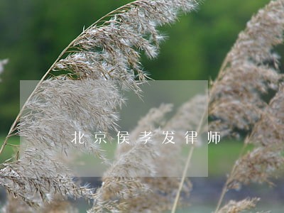 北京侯孝发律师 北京侯孝发律师