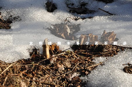 北京信用卡多少天不算逾期