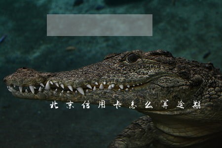 北京信用卡怎么算逾期 北京信用卡怎么算逾期