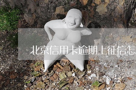 北京信用卡逾期上征信怎么办 北京信用卡逾期上征信怎么办