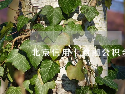 北京信用卡逾期公积金贷款吗