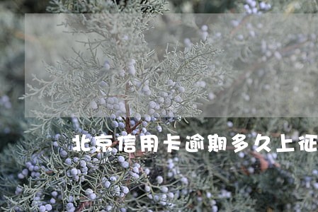 北京信用卡逾期多久上征信