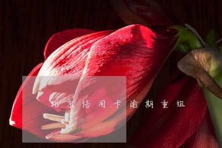 北京信用卡逾期重组 北京信用卡逾期重组