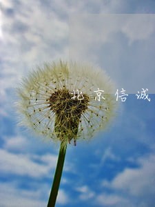 北京信诚团队律师网 北京信诚团队律师网