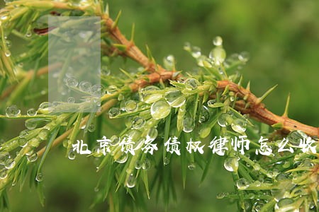 北京债务债权律师怎么收费 北京债务债权律师怎么收费