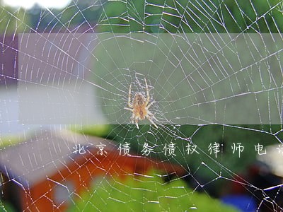 北京债务债权律师电话 北京债务债权律师电话