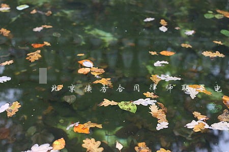北京债务合同律师联系电话 北京债务合同律师联系电话